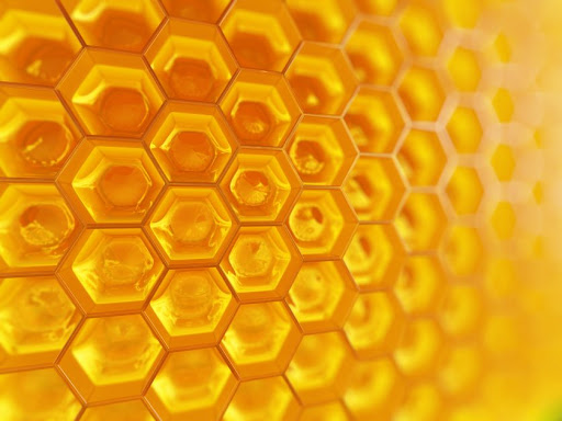 موم زنبور عسل