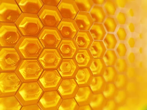 موم زنبور عسل